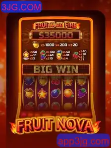 Descubra o Fascinante Mundo de FruitNova: Um Guia Completo